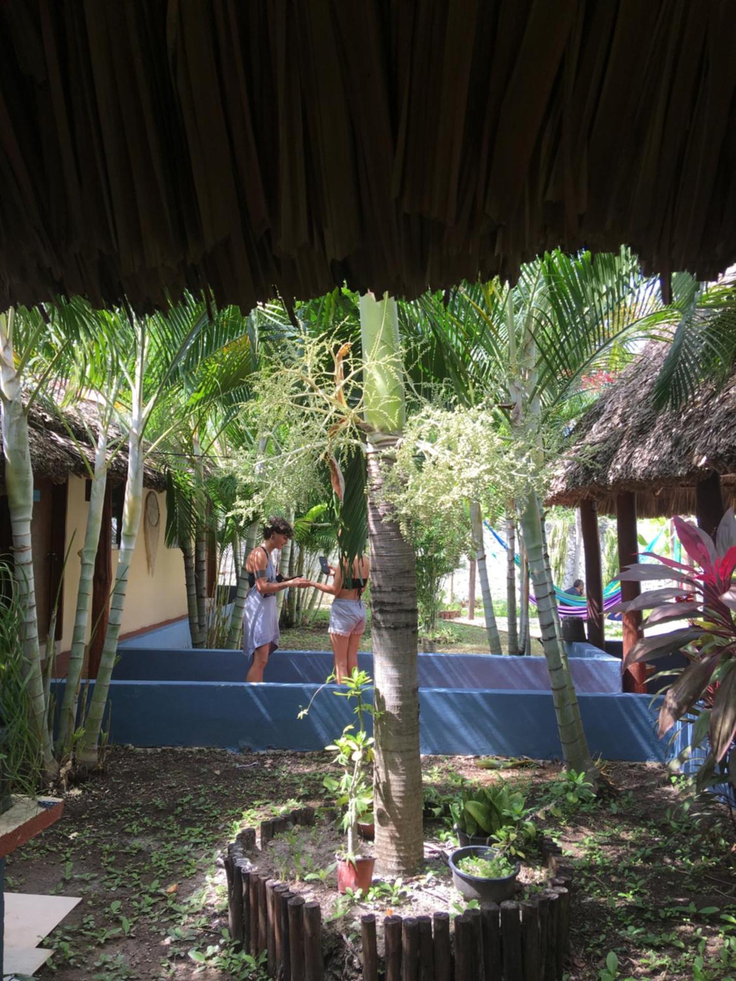 Casa Bokoba Bacalar Hotel Ngoại thất bức ảnh